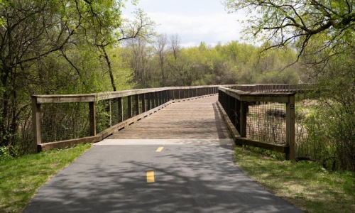 a bridge with trees