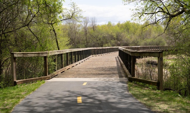 a bridge with trees